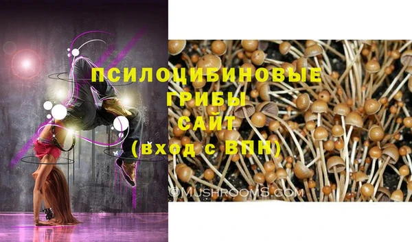 стафф Карпинск