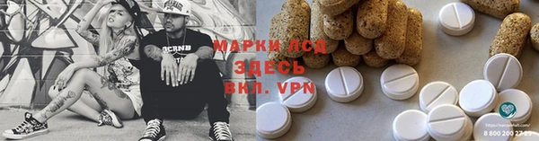 стафф Карпинск