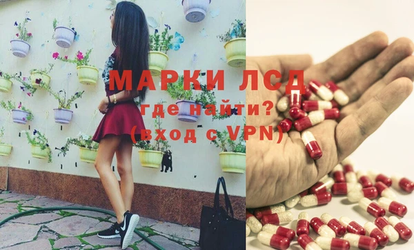 стафф Карпинск