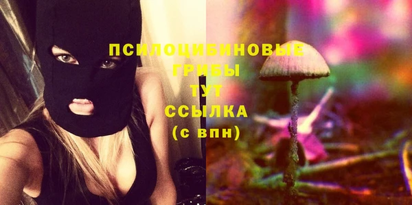 стафф Карпинск