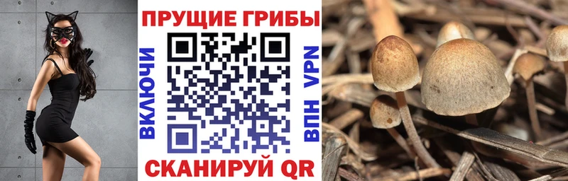 Псилоцибиновые грибы Psilocybe  kraken   Норильск  купить наркотики цена 