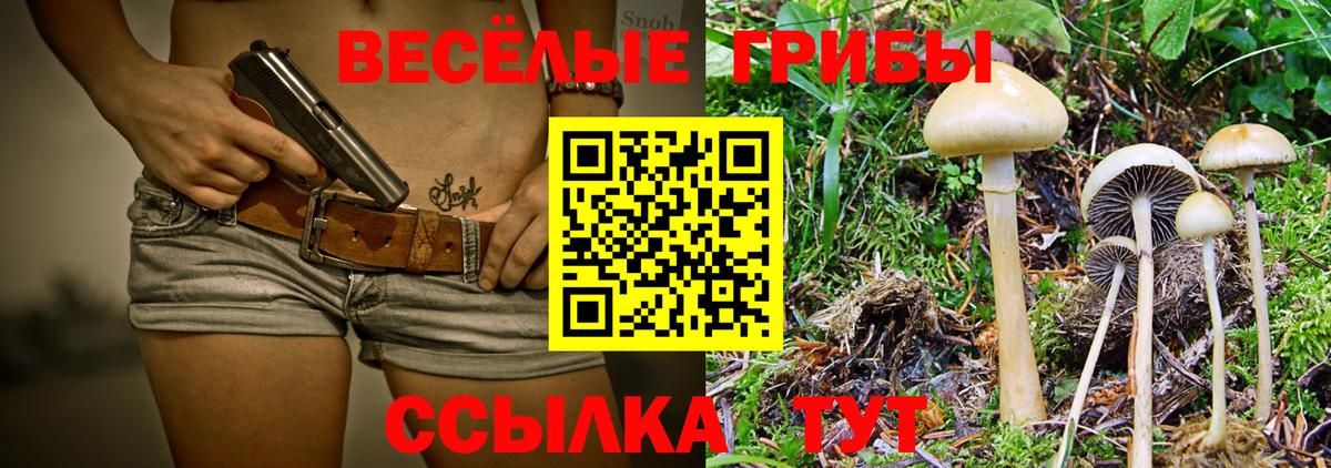 Галлюциногенные грибы прущие грибы  Псилоцибиновые грибы Magic Shrooms  Вход с VPN  Норильск 
